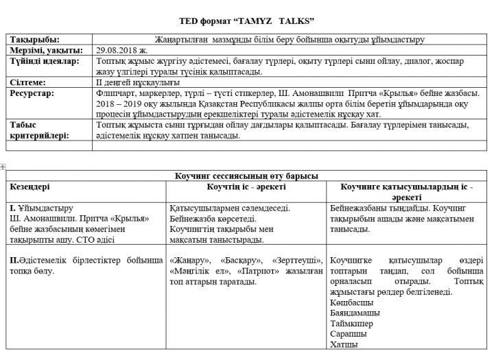 TED формат “TAMYZ   TALKS”