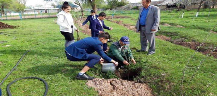 «Менің атаулы ағашым»  атты акциясы