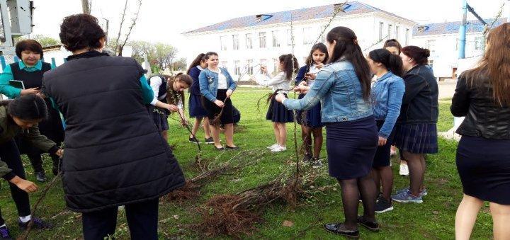 «Менің атаулы ағашым»  атты акциясы